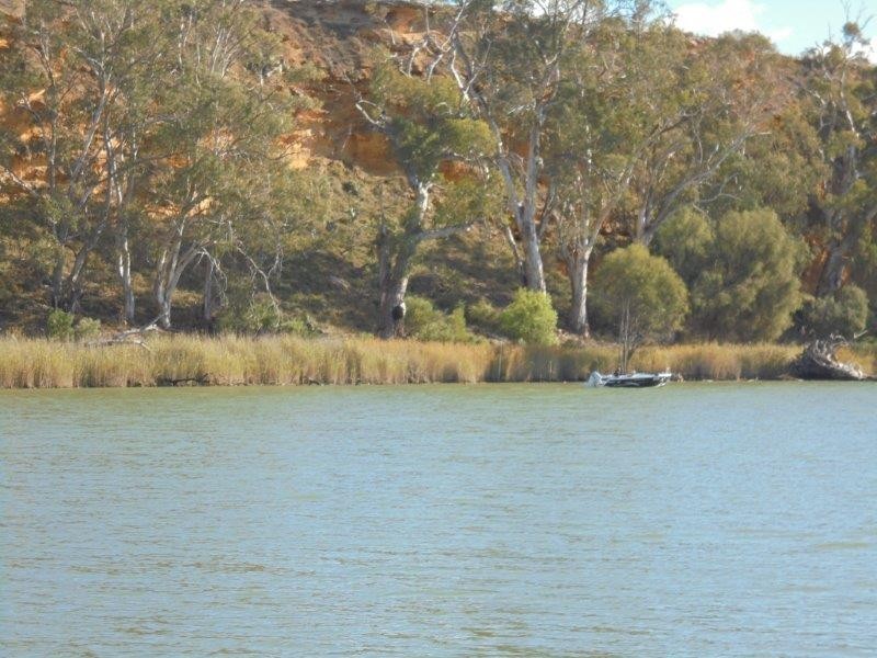 24 Riverside Road, Marks Landing, Swan Reach SA 5354