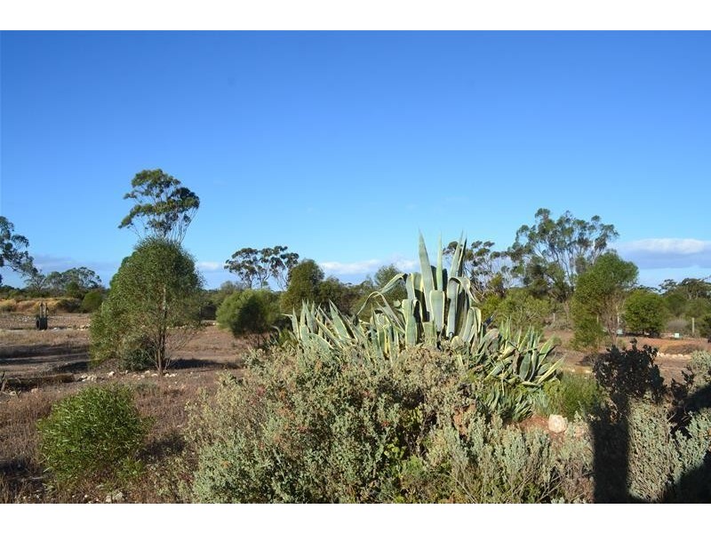 6791 Murraylands Road, Punyelroo SA 5354