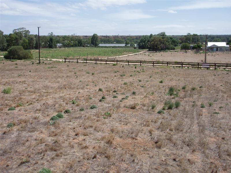 Lot 252 Connors Road, Swan Reach SA 5354