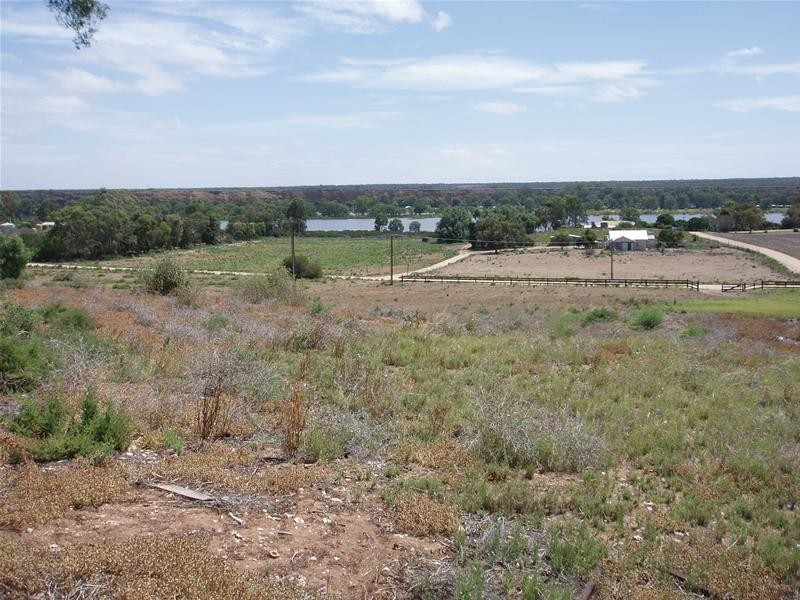 Lot 252 Connors Road, Swan Reach SA 5354