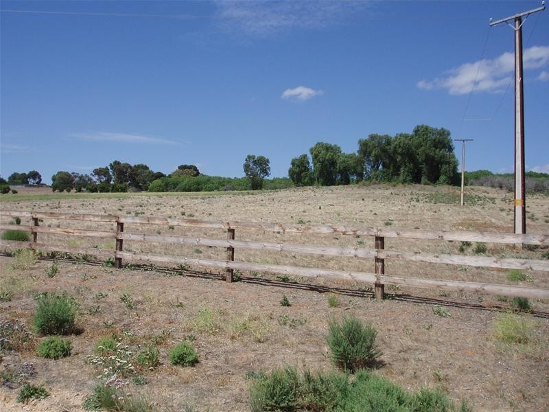 Lot 252 Connors Road, Swan Reach SA 5354