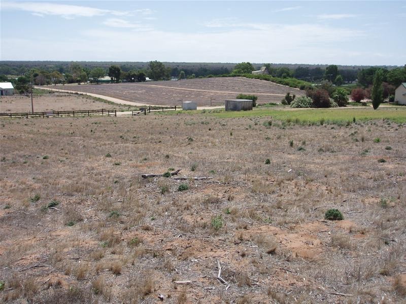 Lot 252 Connors Road, Swan Reach SA 5354