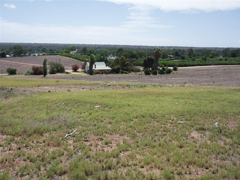 Lot 252 Connors Road, Swan Reach SA 5354