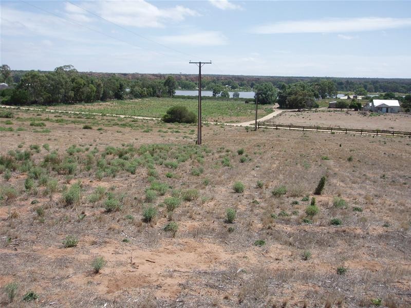 Lot 252 Connors Road, Swan Reach SA 5354