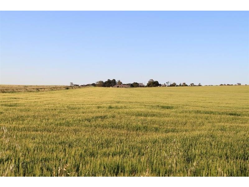 19 Peters Road, Palmer via, Mannum SA 5238