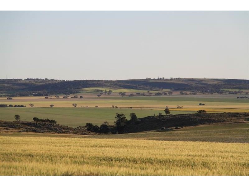 19 Peters Road, Palmer via, Mannum SA 5238