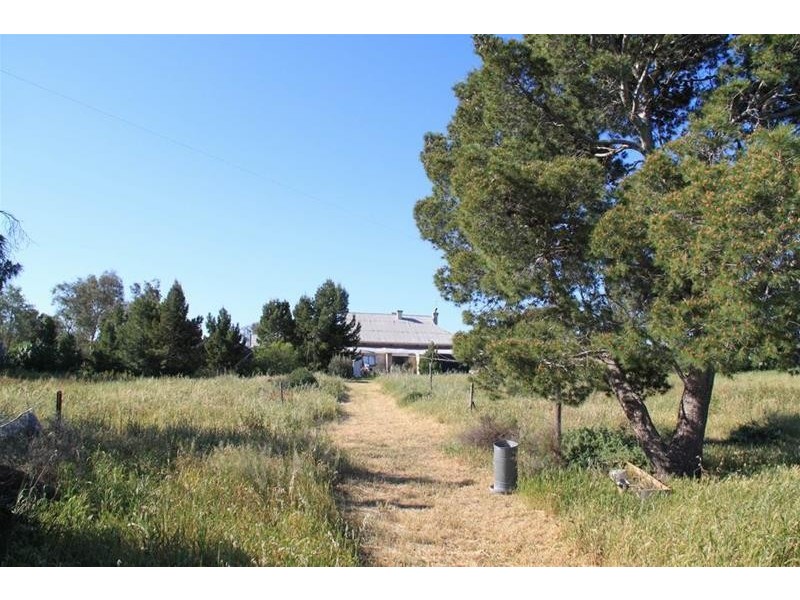 19 Peters Road, Palmer via, Mannum SA 5238