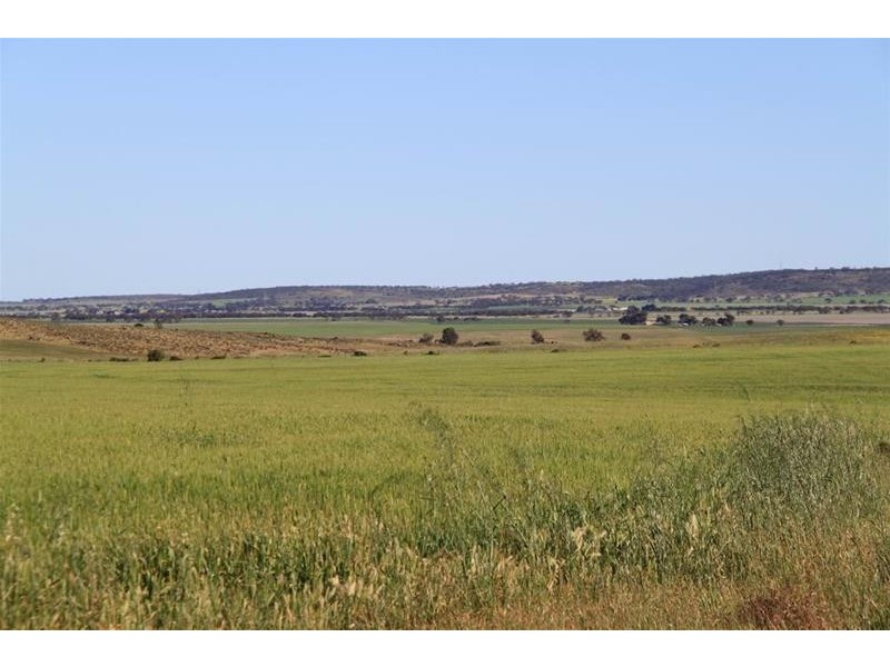 19 Peters Road, Palmer via, Mannum SA 5238