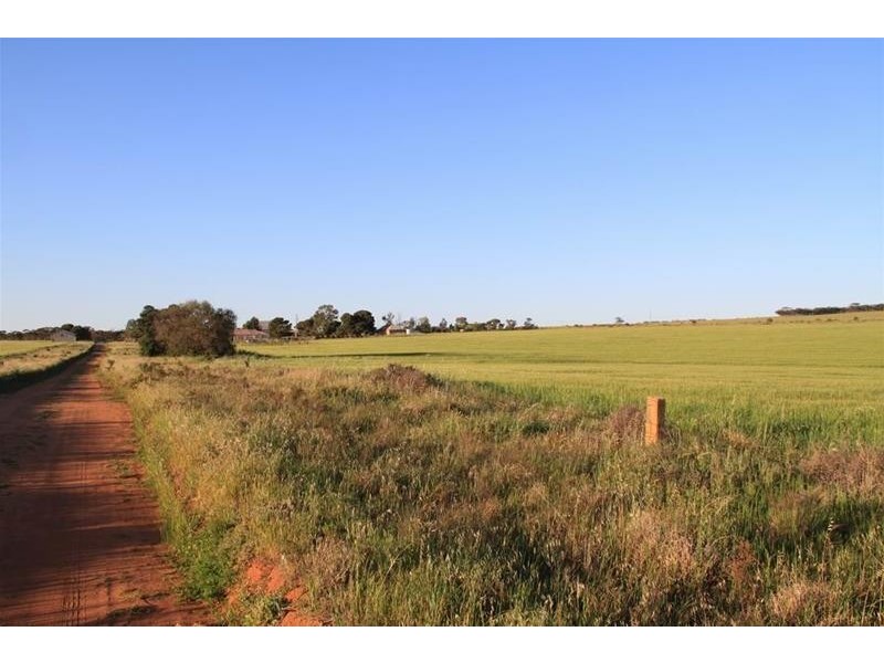 19 Peters Road, Palmer via, Mannum SA 5238