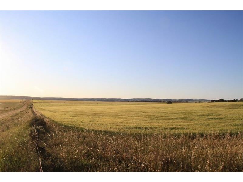 19 Peters Road, Palmer via, Mannum SA 5238