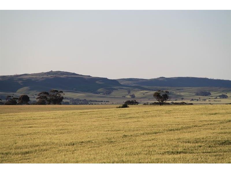 19 Peters Road, Palmer via, Mannum SA 5238