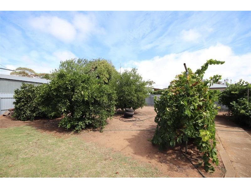 21 Berryman Avenue, Mannum SA 5238