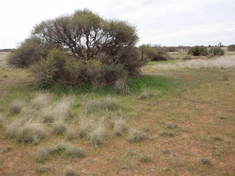 Lot 3 Halfway House, Annadale SA 5356