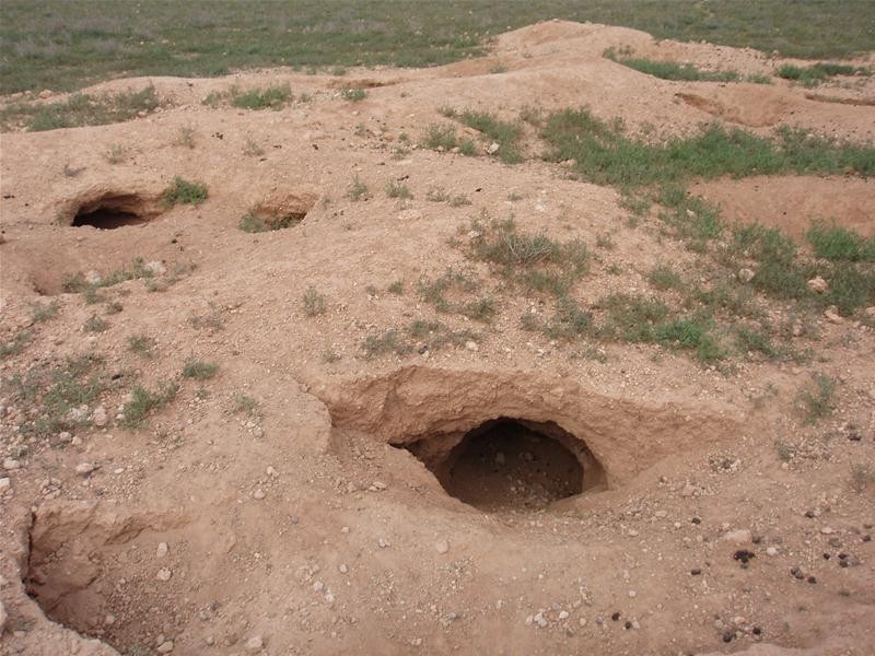 Lot 3 Halfway House, Annadale SA 5356