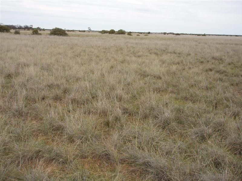 Lot 3 Halfway House, Annadale SA 5356