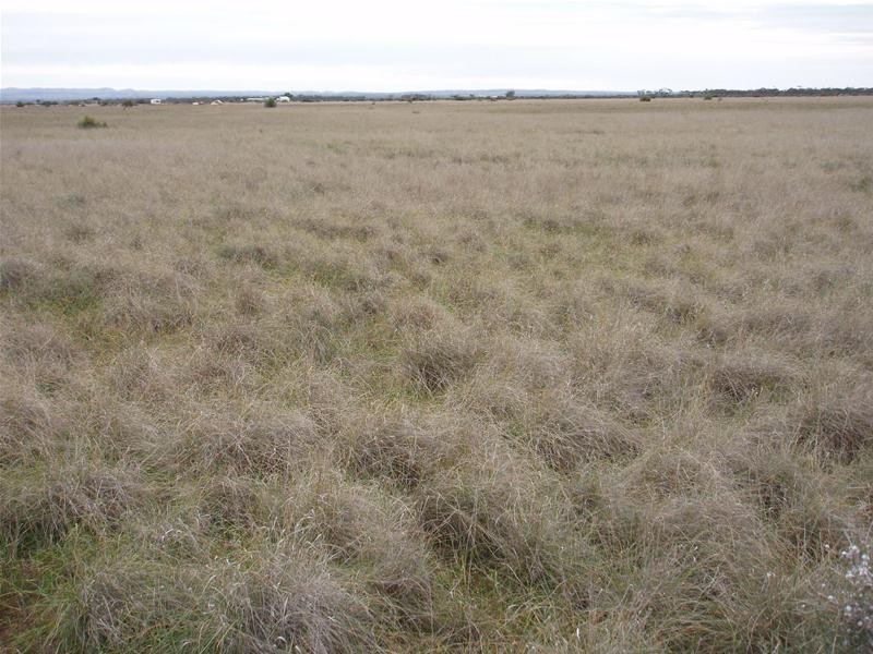 Lot 3 Halfway House, Annadale SA 5356