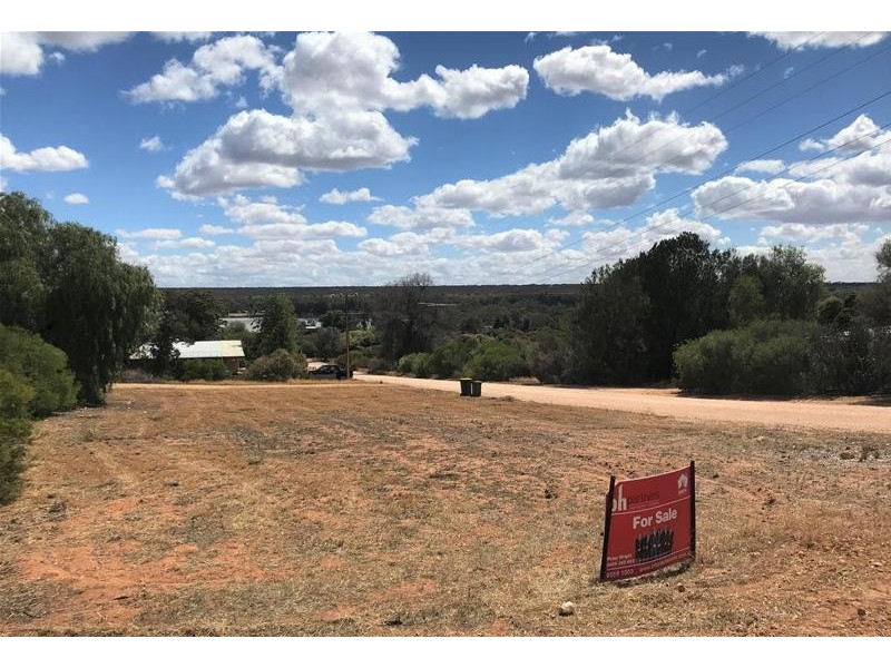 27 Nildottie Road, Swan Reach SA 5354