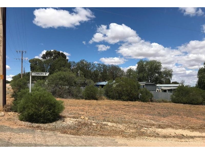 27 Nildottie Road, Swan Reach SA 5354