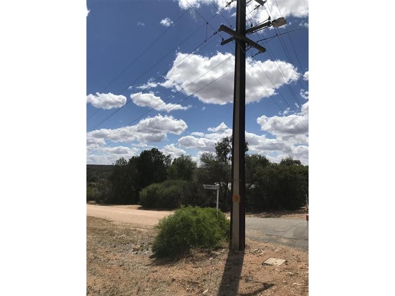 27 Nildottie Road, Swan Reach SA 5354