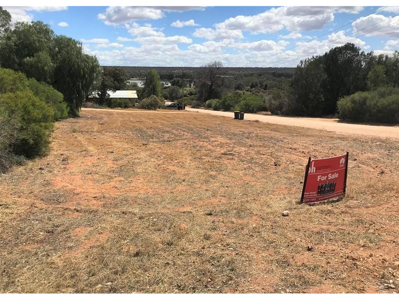 27 Nildottie Road, Swan Reach SA 5354