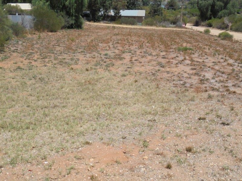 27 Nildottie Road, Swan Reach SA 5354