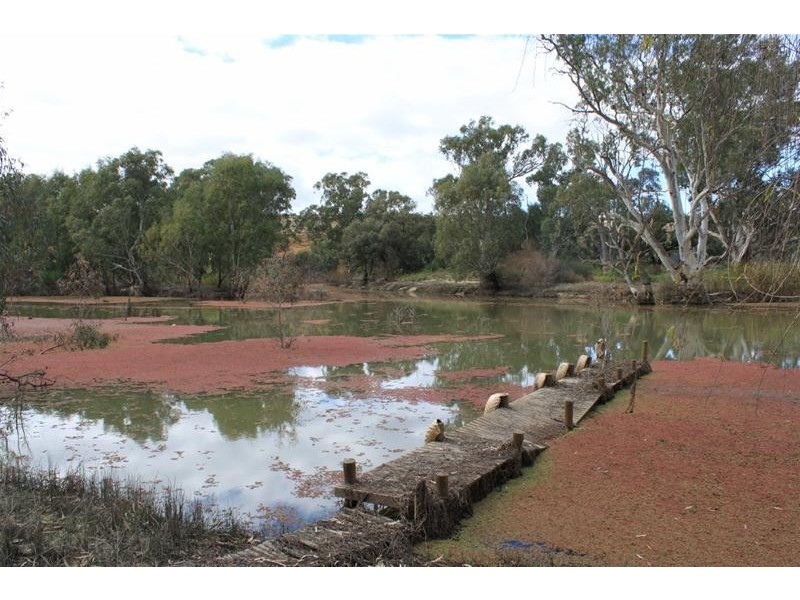 Lot 212 Government Road SUNNYDALE Via, Swan Reach SA 5354