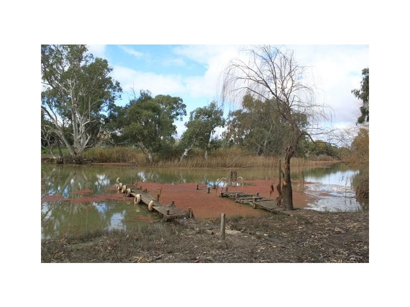 Lot 212 Government Road SUNNYDALE Via, Swan Reach SA 5354