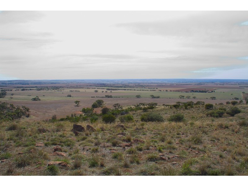 ‘Kleinerberg’/2601 Black Heath Road, Rockleigh SA 5254