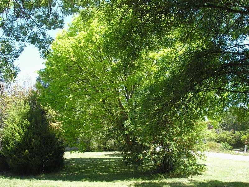 8 Melrose Street, Mount Pleasant SA 5235