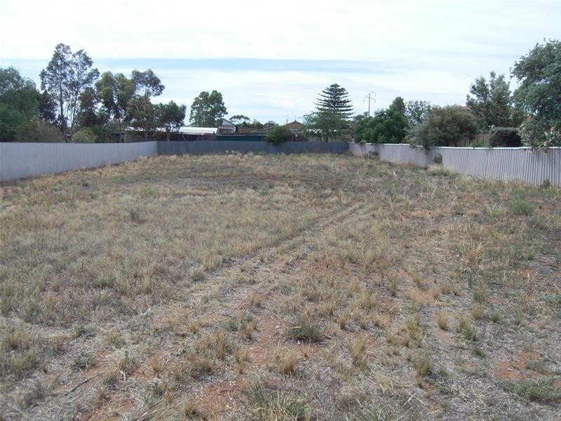 8 Berryman Avenue, Mannum SA 5238