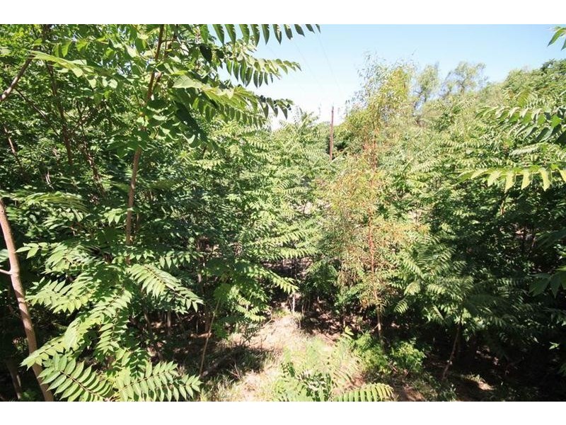 Site 301 Younghusband Caravan Park, Younghusband SA 5238