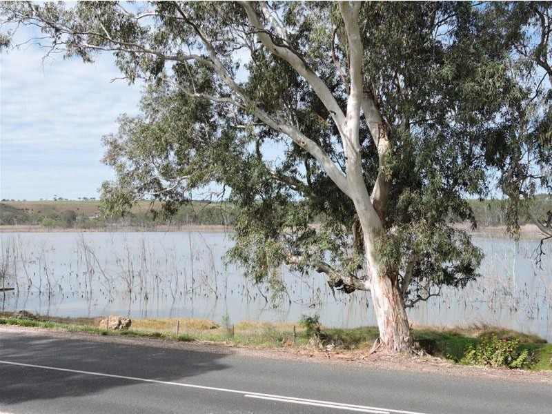 343 Purnong Road, Mannum SA 5238