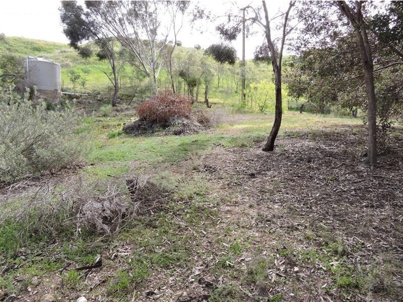 343 Purnong Road, Mannum SA 5238