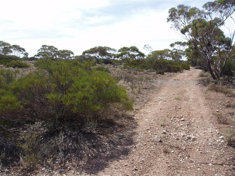 Section/22 Public Road, Swan Reach SA 5354