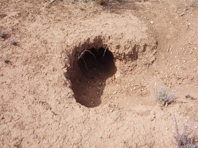 Section/22 Public Road, Swan Reach SA 5354