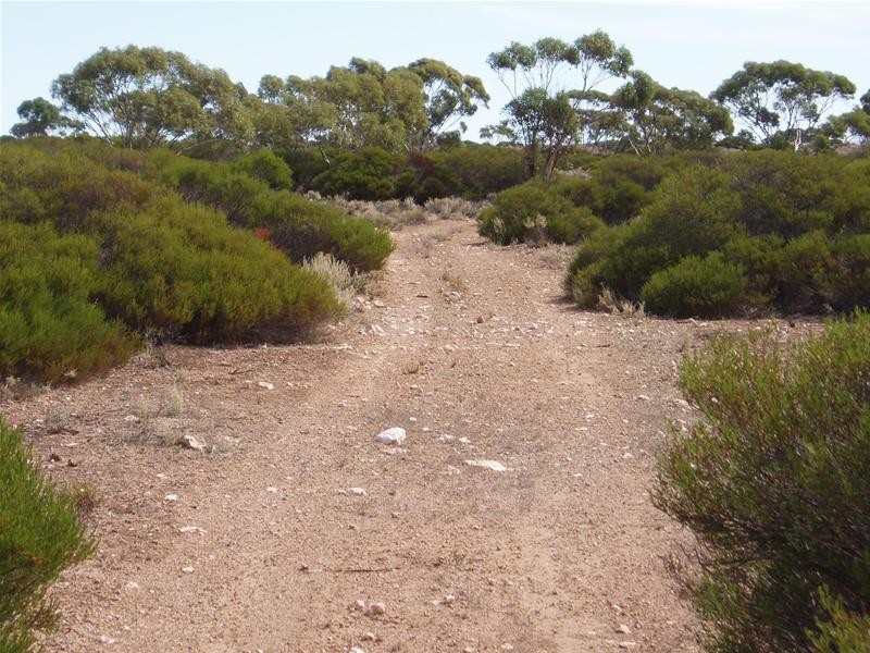 Section/22 Public Road, Swan Reach SA 5354