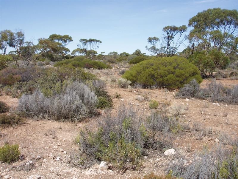 Section/22 Public Road, Swan Reach SA 5354