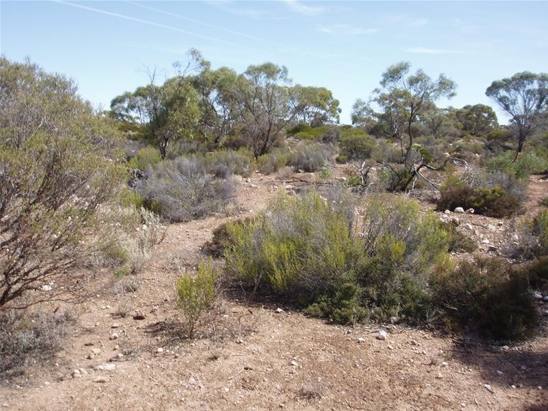 Section/22 Public Road, Swan Reach SA 5354