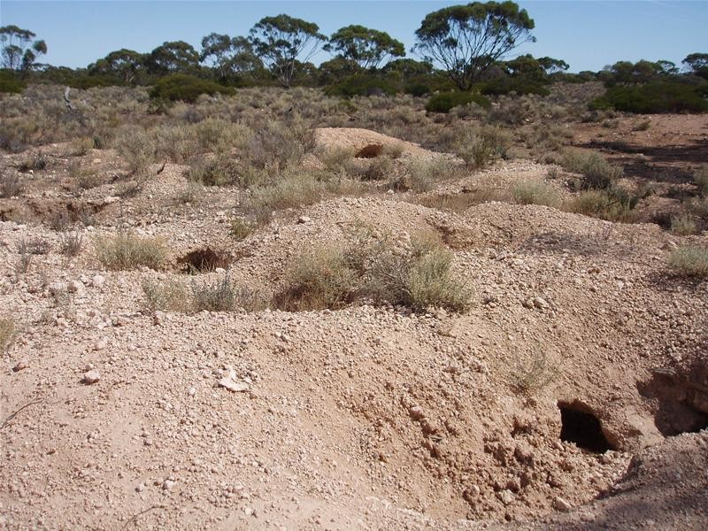 Section/22 Public Road, Swan Reach SA 5354