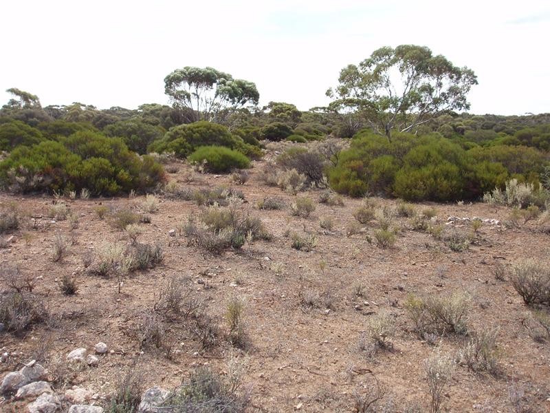 Section/22 Public Road, Swan Reach SA 5354