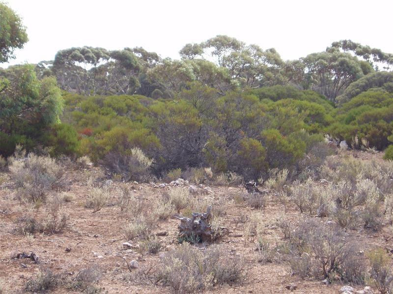 Section/22 Public Road, Swan Reach SA 5354