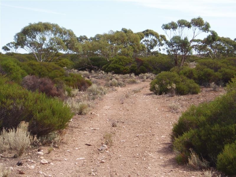 Section/22 Public Road, Swan Reach SA 5354