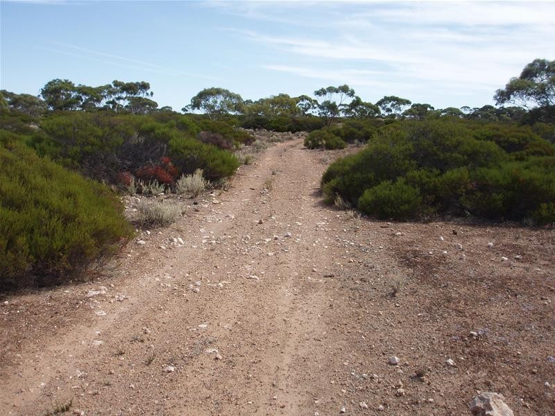 Section/22 Public Road, Swan Reach SA 5354