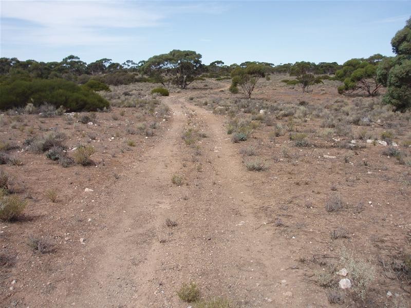 Section/22 Public Road, Swan Reach SA 5354