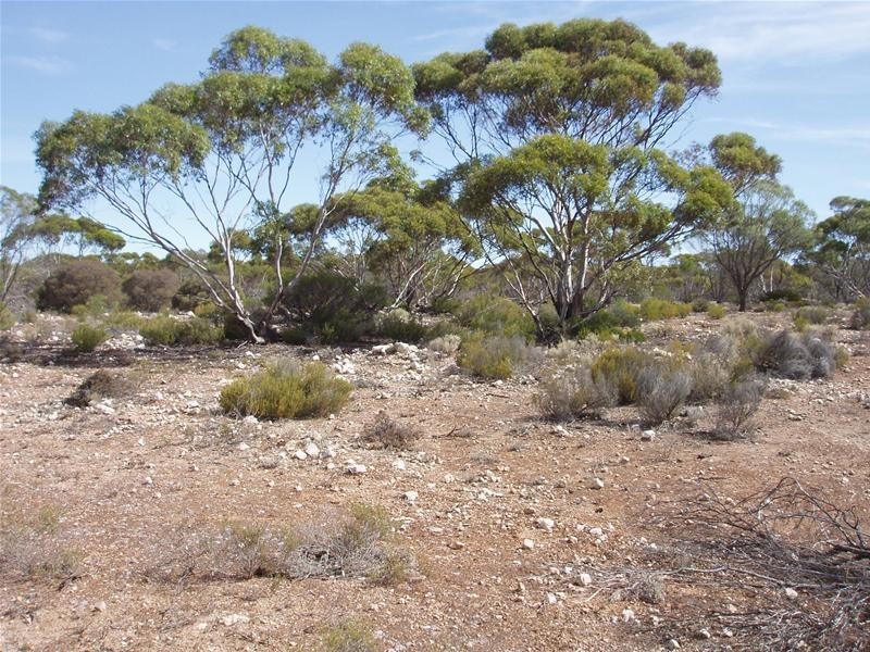 Section/22 Public Road, Swan Reach SA 5354