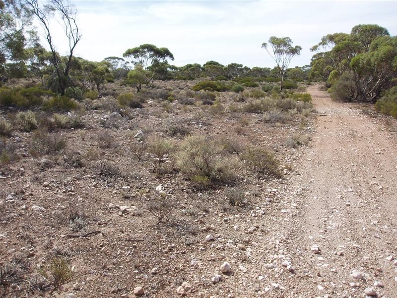 Section/22 Public Road, Swan Reach SA 5354