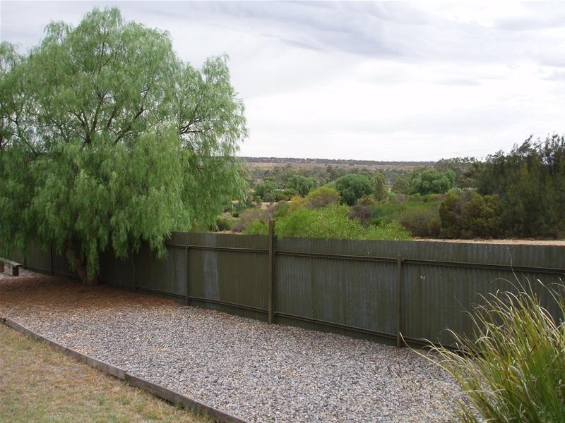 29 Nildottie Road, Swan Reach SA 5354