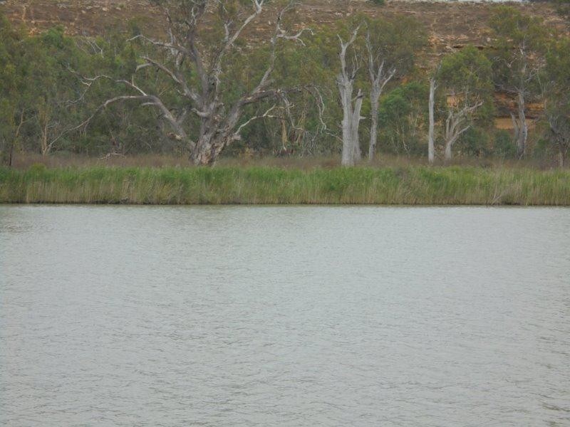 80 River Reserve Road, Swan Reach SA 5354