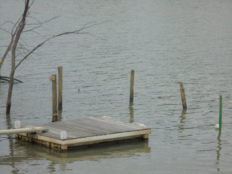 80 River Reserve Road, Swan Reach SA 5354