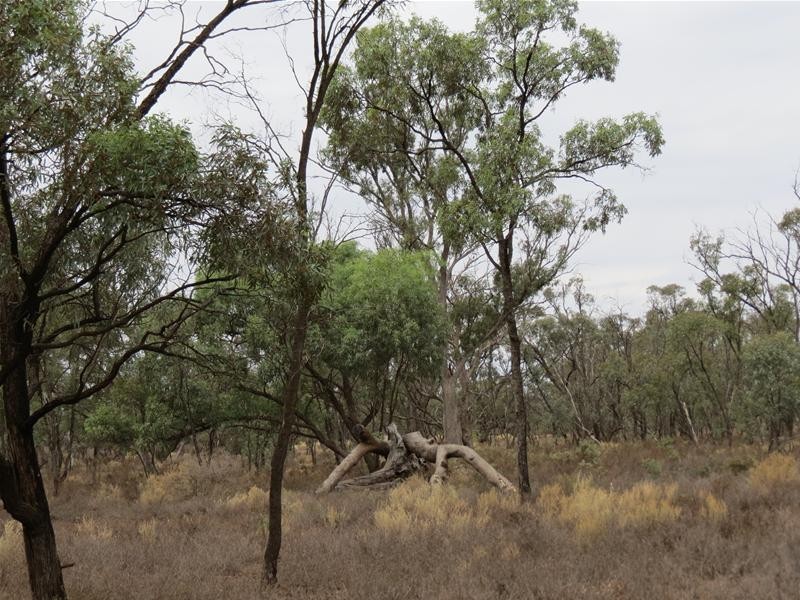 Lot 2 Sperling Road, Annadale SA 5356